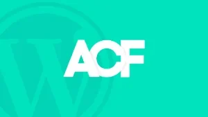 Advanced Custom Fields Pro v6.3.1 中文版 – WP自定义字段插件